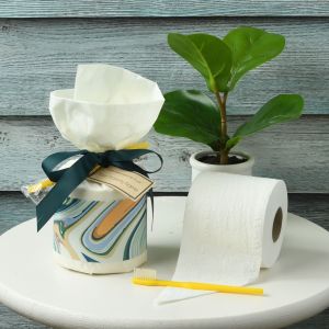 Fresh Paint TP and a Toothbrush