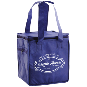 Insulated Lunch Cooler