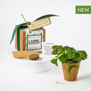 Sprouting New Beginnings