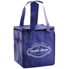 Insulated Lunch Cooler