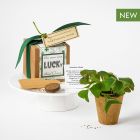 Sprouting New Beginnings