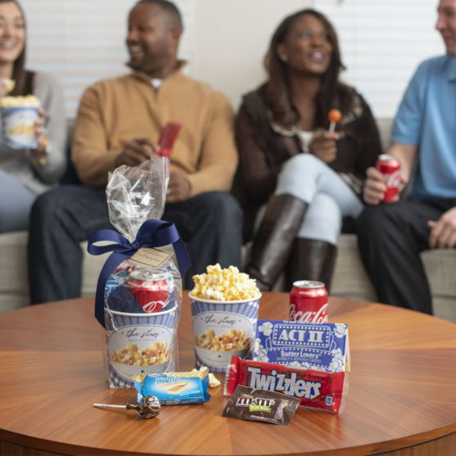 What We Imagine... an Introduction