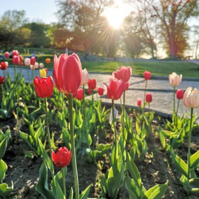 Suddenly, it's Landscape Season!