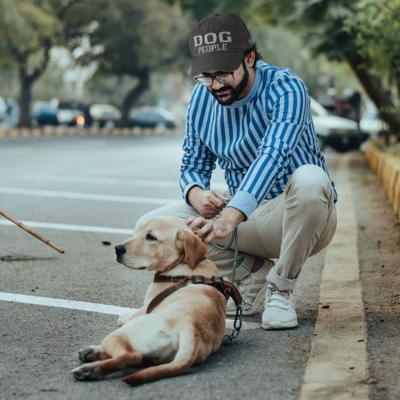 The Dog Days of Summer